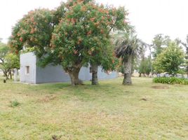 2 Bedroom House for sale in Chui, Rio Grande do Sul, Chui, Chui