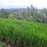  Land for sale in Selemadeg, Tabanan, Selemadeg