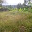  Land for sale in Selemadeg, Tabanan, Selemadeg