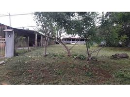  Terreno (Parcela) en venta en Alanje, Chiriquí, Santo Tomás, Alanje