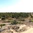  Land for sale in Papayal, Tumbes, Papayal, Zarumilla, Tumbes