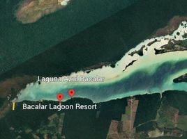  Grundstück zu verkaufen in Othon P Blanco, Quintana Roo, Othon P Blanco