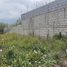  Terreno (Parcela) en venta en Tumbaco, Pichincha, Tumbaco