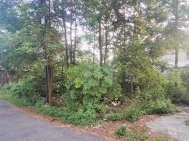  Terreno (Parcela) en venta en Ngaglik, Yogyakarta, Ngaglik