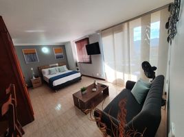 1 Bedroom Apartment for sale in Bare Foot Park (Parque de los Pies Descalzos), Medellin, Medellin