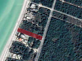  Grundstück zu verkaufen in Celestun, Yucatan, Celestun