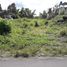  Land for sale in Yogyakarta, Kalasan, Sleman, Yogyakarta