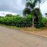  Land for sale in Monteria, Cordoba, Monteria