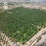  Land for sale in Matamoros, Coahuila, Matamoros