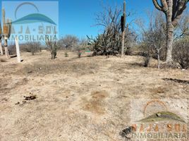  Terrain for sale in Baja California Sur, La Paz, Baja California Sur