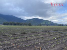  Terrain for sale in Isla De Maipo, Talagante, Isla De Maipo