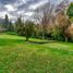 Terreno (Parcela) en venta en Santiago, Santiago, Santiago, Santiago