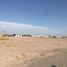  Land for rent in Torreon, Coahuila, Torreon, Coahuila