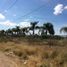  Land for rent in Pabellon De Arteaga, Aguascalientes, Pabellon De Arteaga