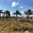  Land for rent in Pabellon De Arteaga, Aguascalientes, Pabellon De Arteaga