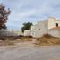  Terreno (Parcela) en venta en Torreon, Coahuila, Torreon