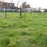  Land for sale in Chile, San Bernardo, Maipo, Santiago, Chile