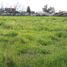  Land for sale in Chile, San Bernardo, Maipo, Santiago, Chile