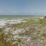 Land for sale in Celestun, Yucatan, Celestun