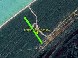  Land for sale in Celestun, Yucatan, Celestun