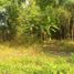  Land for sale in Yogyakarta, Depok, Sleman, Yogyakarta