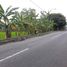  Land for sale in Yogyakarta, Depok, Sleman, Yogyakarta