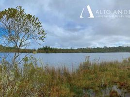  Terreno (Parcela) en venta en Chile, Quemchi, Chiloé, Los Lagos, Chile