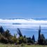  Land for sale in Los Rios, Futrono, Ranco, Los Rios