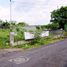  Land for sale in Yogyakarta, Mlati, Sleman, Yogyakarta