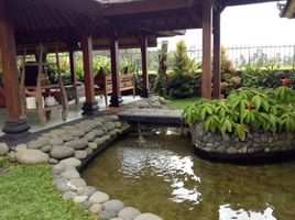 3 chambre Villa for sale in Tegallalang, Gianyar, Tegallalang