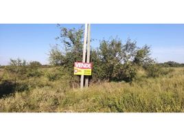  Terrain for sale in Libertad, Chaco, Libertad