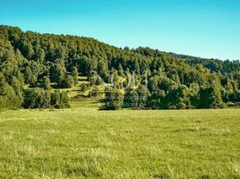  Terreno (Parcela) en venta en Los Ríos, Mariquina, Valdivia, Los Ríos