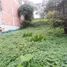  Grundstück zu verkaufen in Manizales, Caldas, Manizales, Caldas
