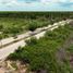  Grundstück zu verkaufen in Hunucma, Yucatan, Hunucma