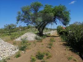  Land for sale in Allende, Nuevo Leon, Allende