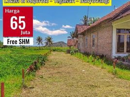  Land for sale in Banyuwangi, East Jawa, Gambiran, Banyuwangi