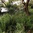  Terreno (Parcela) en venta en Cuernavaca, Morelos, Cuernavaca