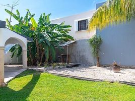 Maison 3 chambre à vendre à Cozumel, Quintana Roo, Cozumel