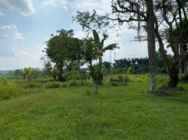  Tanah for sale in Jonggol, Bogor, Jonggol