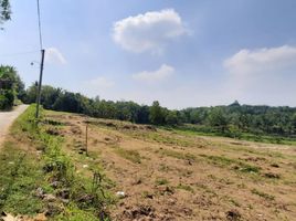  Land for sale in Pengasih, Kulon Progo, Pengasih