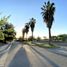  Land for sale in Chile, Santiago, Santiago, Santiago, Chile