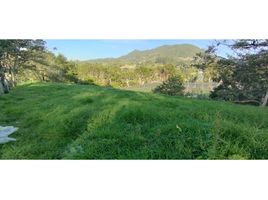  Terrain for sale in San Carlos, Antioquia, San Carlos