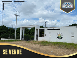  Terreno (Parcela) en venta en Carmen De Apicala, Tolima, Carmen De Apicala