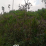  Land for sale in Santa Rosa De Cabal, Risaralda, Santa Rosa De Cabal, Risaralda