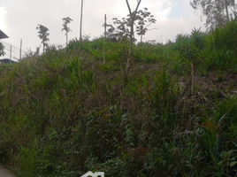  Terreno (Parcela) en venta en Santa Rosa De Cabal, Risaralda, Santa Rosa De Cabal