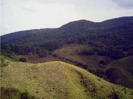  Terrain for sale in Herrera, Leones, Las Minas, Herrera