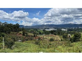  Grundstück zu verkaufen in La Ceja, Antioquia, La Ceja