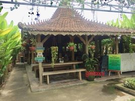  Tanah for sale in Tegallalang, Bali, Tegallalang