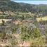  Terreno (Parcela) en venta en Maule, Pencahue, Talca, Maule