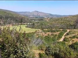  Terreno (Parcela) en venta en Maule, Pencahue, Talca, Maule